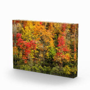 Herbst am Sims Pond North Carolina, Blue Ridge Fotoblock