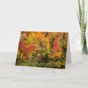 Herbst am Sims Pond North Carolina, Blue Ridge Karte