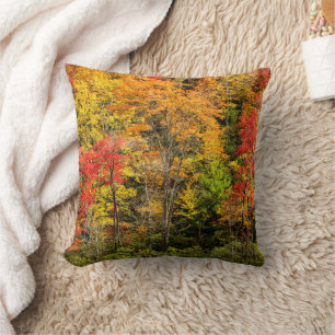 Herbst am Sims Pond North Carolina, Blue Ridge Kissen