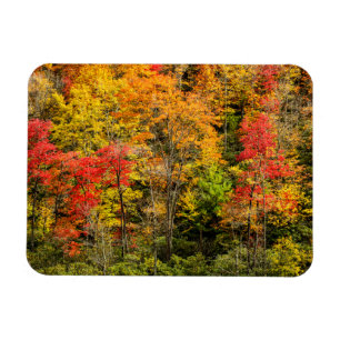 Herbst am Sims Pond North Carolina, Blue Ridge Magnet