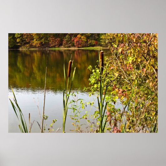 Herbst am Teich Poster (Vorne)