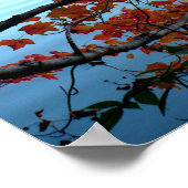 Herbst am Waldenteich Poster (Ecke)