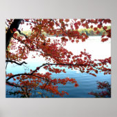 Herbst am Waldenteich Poster (Vorne)
