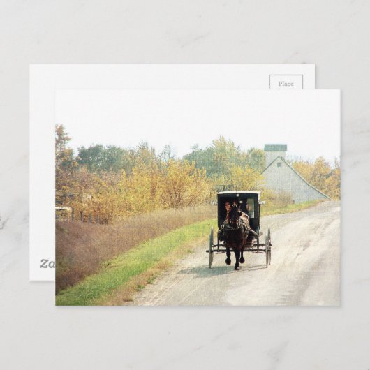 Herbst-amisches Pferd und Buggy Postkarte (Vorne/Hinten)
