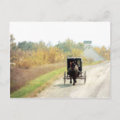 Herbst-amisches Pferd und Buggy Postkarte (Vorderseite)