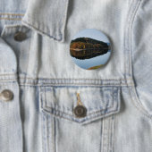 Herbst an der Aggertalsperre Button (Beispiel)