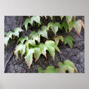 Herbst an der Wand Poster
