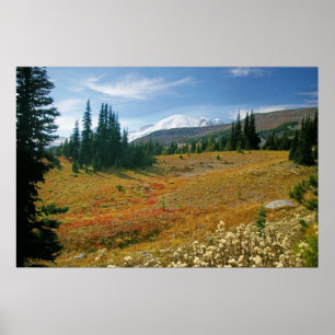 Herbst an regnerischerem poster