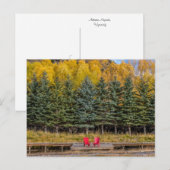 Herbst-Aspen Postkarte (Vorne/Hinten)