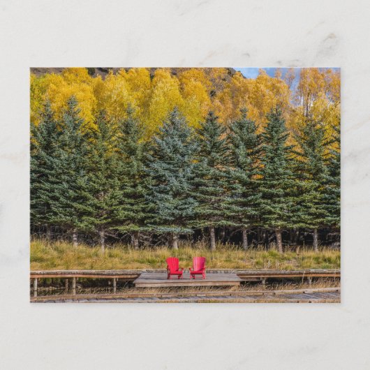 Herbst-Aspen Postkarte (Vorderseite)