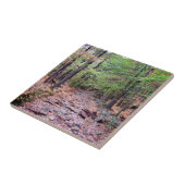 Herbst auf Blue Hills Reservation Red Dot Trail Fliese (Seite)