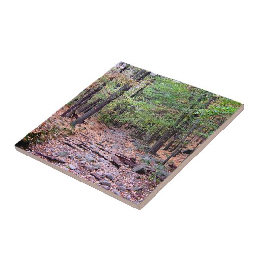 Herbst auf Blue Hills Reservation Red Dot Trail Fliese (Seite)