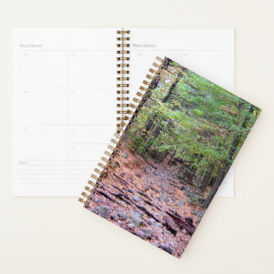 Herbst auf Blue Hills Reservation Red Dot Trail Planer