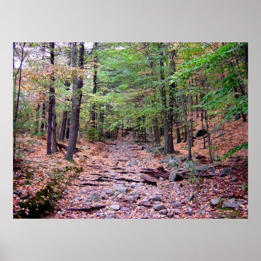 Herbst auf Blue Hills Reservation Red Dot Trail Poster (Vorne)