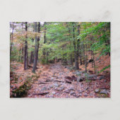 Herbst auf Blue Hills Reservation Red Dot Trail Postkarte (Vorderseite)