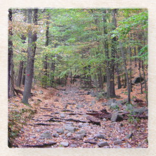 Herbst auf Blue Hills Reservierung Red Dot Trail Glasuntersetzer