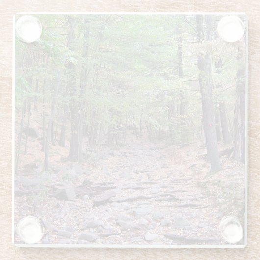 Herbst auf Blue Hills Reservierung Red Dot Trail Glasuntersetzer (Rückseite)