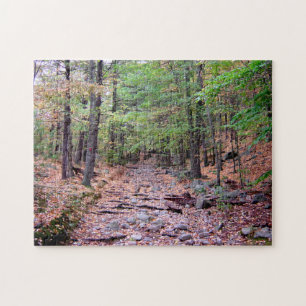 Herbst auf Blue Hills Reservierung Roter Dot Trail Puzzle