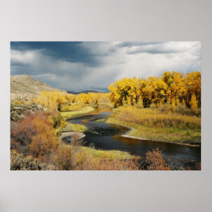 Herbst auf dem Gunnison Fluss, Colorado Poster