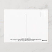 Herbst auf den Felsen Postkarte (Rückseite)