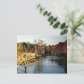 Herbst auf der Bayou Postkarte (Stehend Vorderseite)