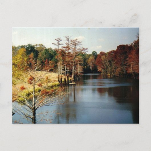 Herbst auf der Bayou Postkarte (Vorderseite)
