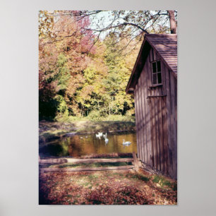 Herbst auf der Bronte Creek Poster