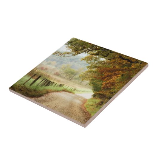 Herbst auf einer Landstraße Fliese (Seite)