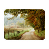 Herbst auf einer Landstraße Magnet (Horizontal)