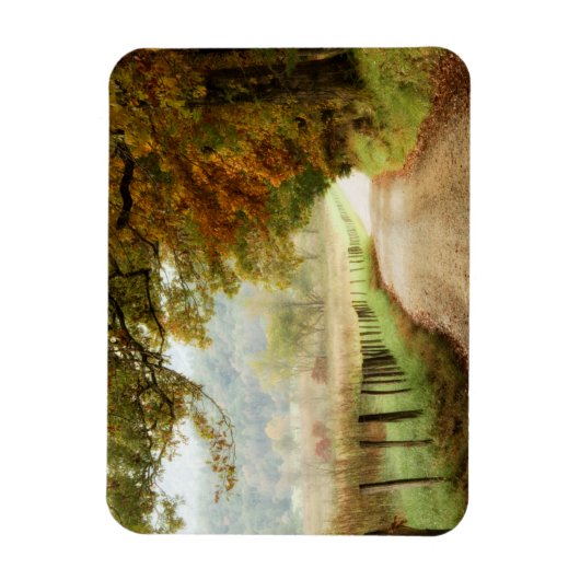 Herbst auf einer Landstraße Magnet (Vertikal)