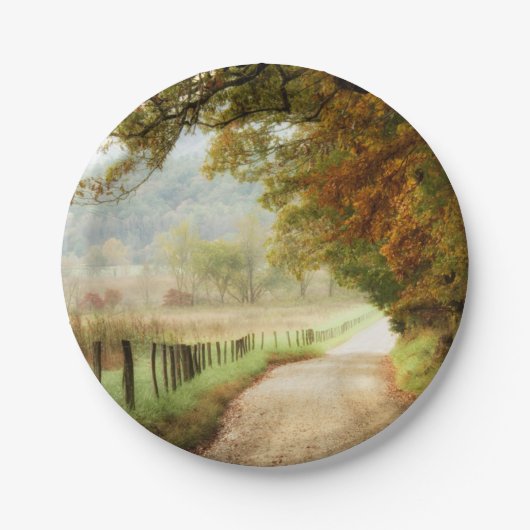 Herbst auf einer Landstraße Pappteller (Vorderseite)