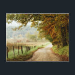 Herbst auf einer Landstraße Postkarte<br><div class="desc">Zuhause Décor</div>