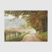 Herbst auf einer Landstraße