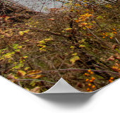 Herbst auf Haviland Cove Beach Poster (Ecke)