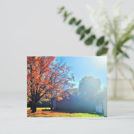 Herbst auf Long Island New York Postkarte (Stehend Vorderseite)