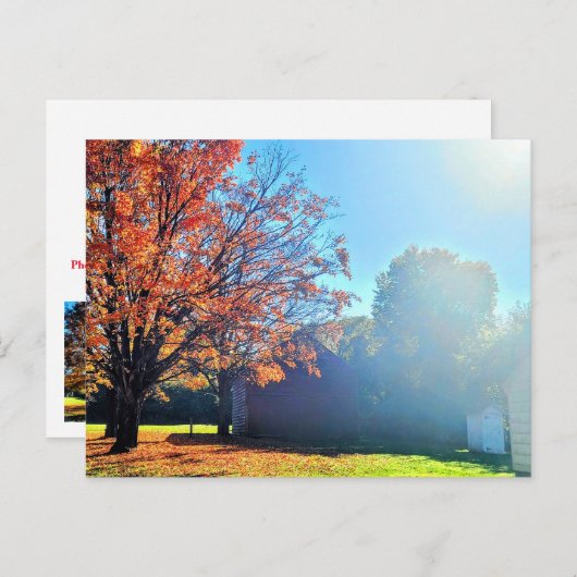 Herbst auf Long Island New York Postkarte (Vorne/Hinten)