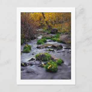 "Herbst auf Mill Creek" Postkarte
