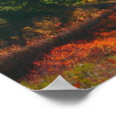 Herbst auf Mount Shuksan Print Poster (Ecke)