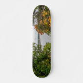 Herbst auf Truman Dam Skateboard (Vorne)