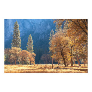 Herbst auf Wiese Fotodruck