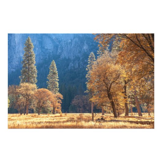 Herbst auf Wiese Fotodruck (Vorne)