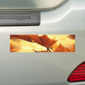 Herbst Autoaufkleber (Auf Auto)