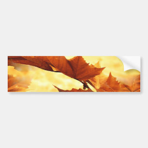 Herbst Autoaufkleber