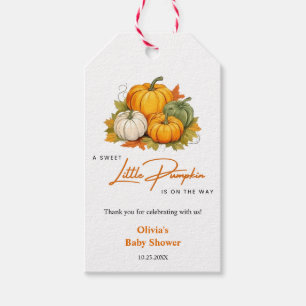 Herbst Autumn Ein Kleiner Kürbis Baby Shower  Geschenkanhänger