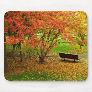 Herbst-Bank Mousepad