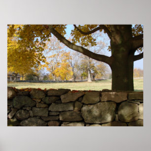 Herbst-Baum u. Wand Poster