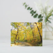 Herbst Bäume 2004 Foto ... Bradley Park Postkarte (Stehend Vorderseite)