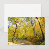 Herbst Bäume 2004 Foto ... Bradley Park Postkarte (Vorne/Hinten)