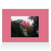 Herbst-Bäume Herbst Geburtstagskarte (Innenansicht Horizontal (Oben))