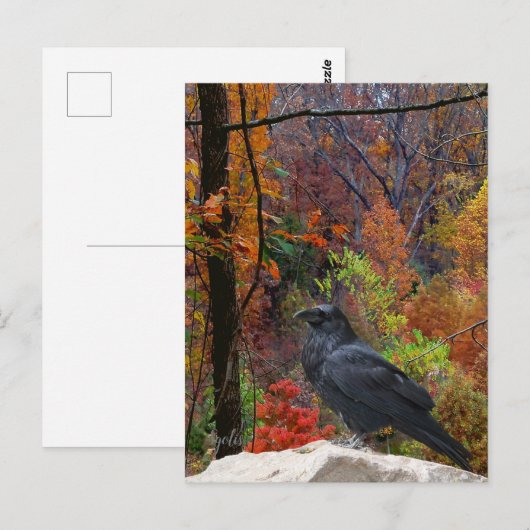 Herbst Bäume mit Crow saisonale Postkarte (Vorne/Hinten)